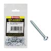Champion Screw Self Tapp Panhead Phillips 4.8 x 19mm 40Pk