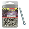 Champion Nickel Screw Self Tapp Panhead Phillips 4.8mm x
