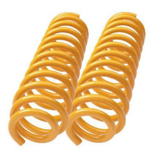 Ironman Coil Spring Set NISS010C