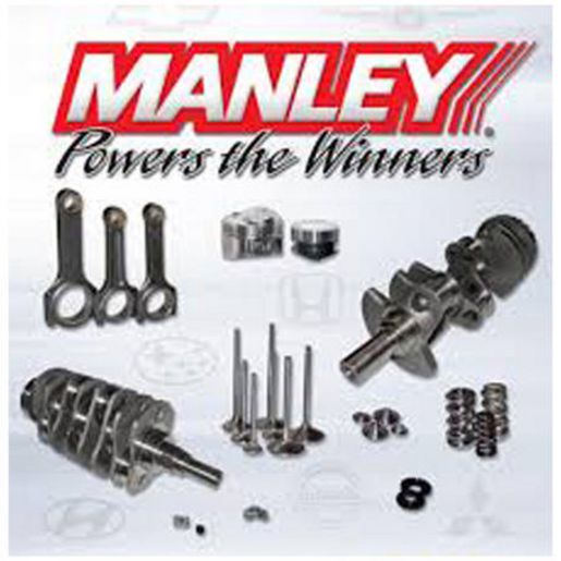 Manley Valve Spring Kit (Nex Tek) 22130-24