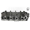 Kiwi Bare Cylinder Head 10081041