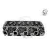 Kiwi Bare Cylinder Head 10081051