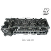 Kiwi Bare Cylinder Head 10081055