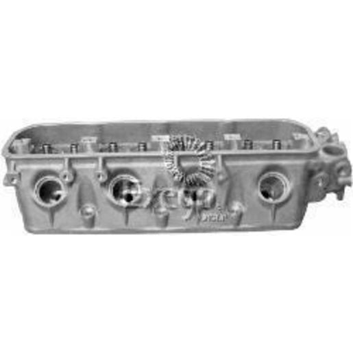 Kiwi Bare Cylinder Head 10081057