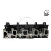 Kiwi Bare Cylinder Head 10081059