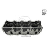 Kiwi Bare Cylinder Head 10081059