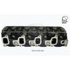 Kiwi Bare Cylinder Head 10081060