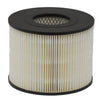 Donaldson Air Filter P500017