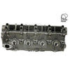 Kiwi Bare Cylinder Head 10051085