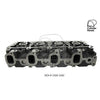 Kiwi Bare Cylinder Head 10081082