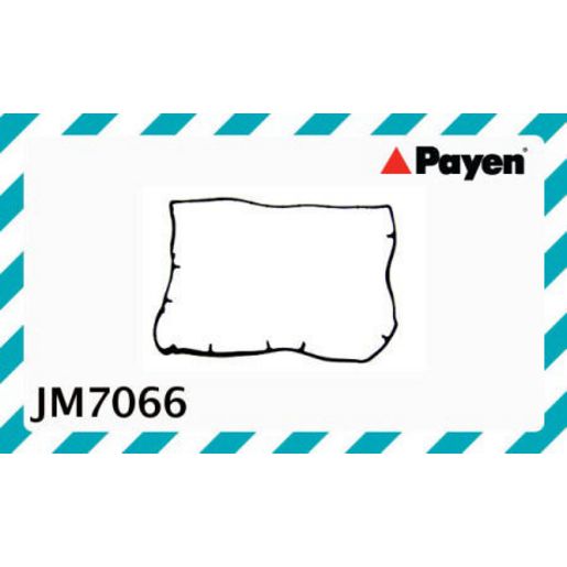 Payen Valve Cover Gasket JM7066