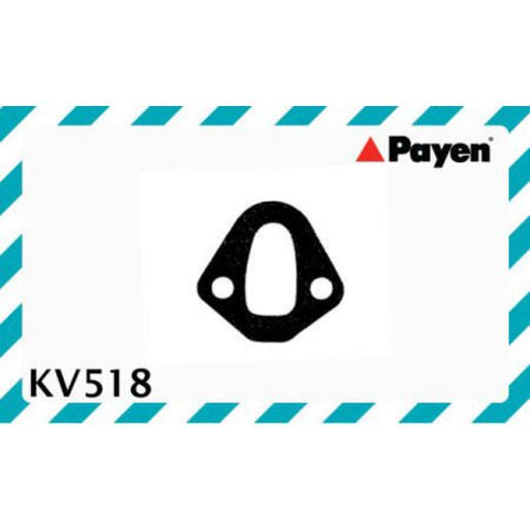Payen Fuel Pump Gasket KV518