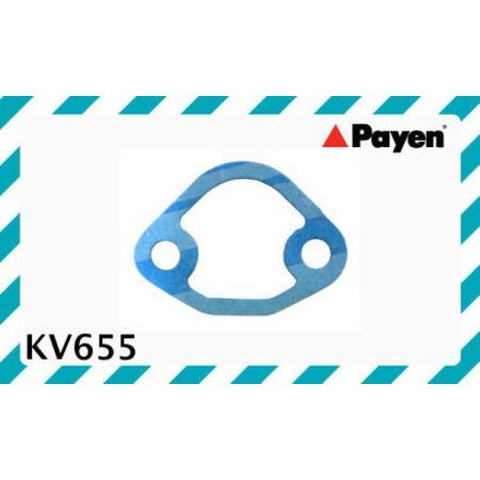 Payen Fuel Pump Gasket KV655