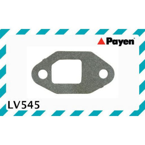 Payen Fuel Pump Gasket LV545
