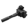 Goss Ignition Coil C229
