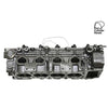 Kiwi Cylinder Head 10061130