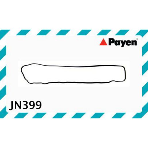 Payen Valve Cover Gasket JN399