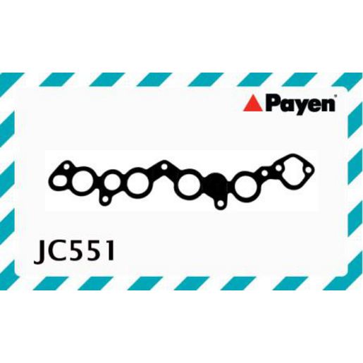 Payen Intake Manifold Gasket JC551