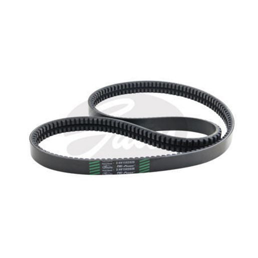 Gates Tru-Power 2/Av Drive Belt 15Mm Top Width X 2020Mm