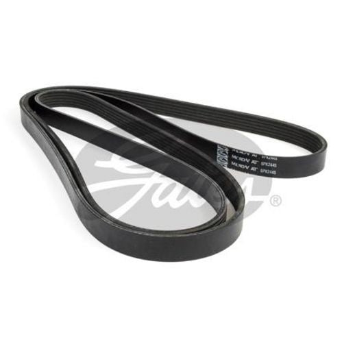 Gates Ribbed Belt 6PK2445