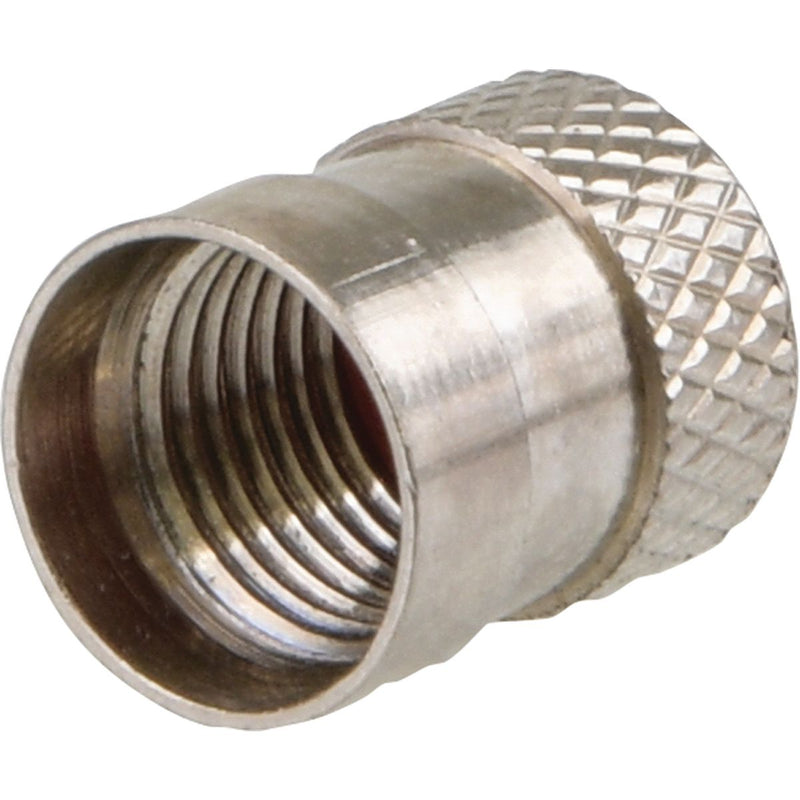 Baolong Bc Valve Cap -Metal (Pack Of 100) BAOTRVC3