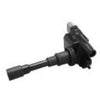 OEM Parts Ignition Coil C302GEN
