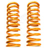 Maxi Trac Coil Spring Set 037-NIS209HN