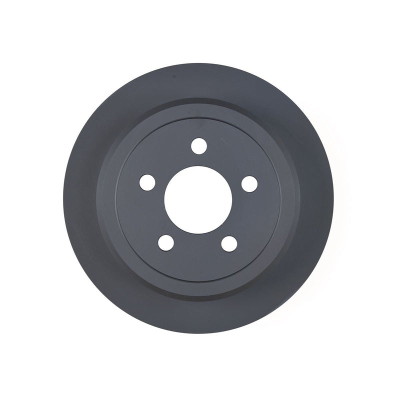 RDA OE Replacement Brake Rotor Single 316mm Rear RDA7373