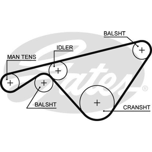Gates Timing Belt T293