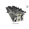 Kiwi Cylinder Head 10061094