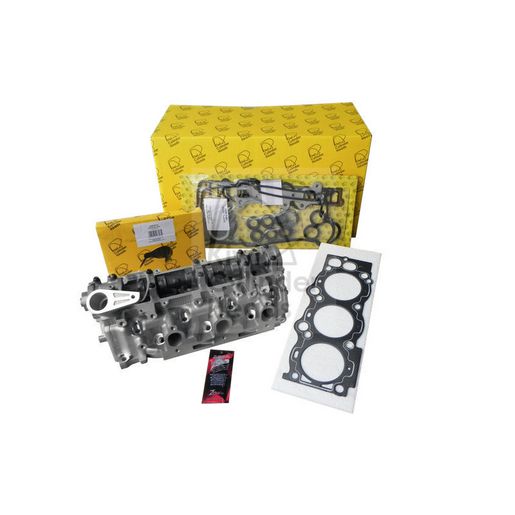 Kiwi Complete Cylinder Head 11081239