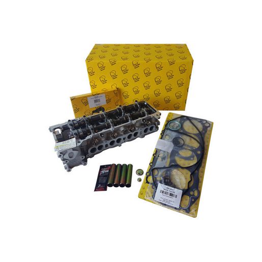 Kiwi Complete Cylinder Head 11081253