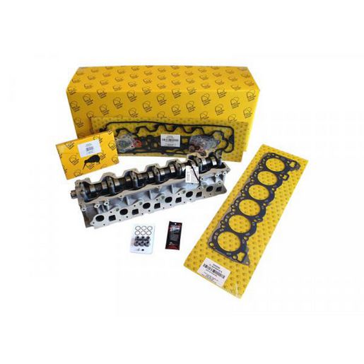 Kiwi Complete Cylinder Head 11061259