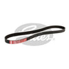 Gates Ribbed Belt 5PK910