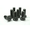 ClutchPro Flywheel Bolt Set 10x1.0x25.8 73Nm (8Pk) FWBNI06