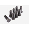 ClutchPro Flywheel Bolt Set 11x1.25x32 97Nm (8Pk) FWBDG04