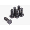 ClutchPro Flywheel Bolt Set 3/8x24x22.9 61Nm (6Pk) FWBFD10