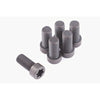 ClutchPro Flywheel Bolt Set 11x1.0x25 98Nm (6Pk) FWBNI46