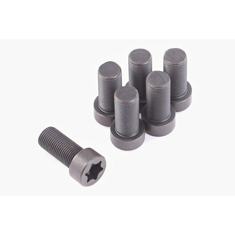 ClutchPro Flywheel Bolt Set 11x1.0x25 98Nm (6Pk) FWBNI46
