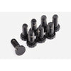 ClutchPro Flywheel Bolt Set 10x1.0x25.8 73Nm (8Pk) FWBSU02