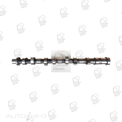 Kiwi Heads Cam Nissan YD25 - 50060072