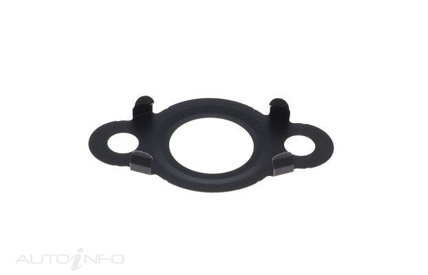 PAT Egr Gasket - GSK-123