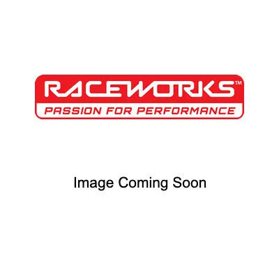 Raceworks 2.5L Surge Tank w/ AN-8 Single/Dual Outlet - Black