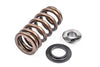 APR Valve Spring Kit 1 Set Fits various VW, Audi, Seat, Skoda, Cupura, Bentley, Lamborghini, and Porsche vehicles