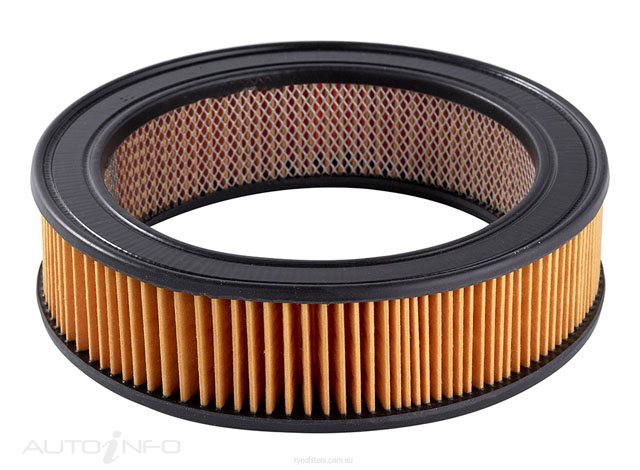 Ryco Air Filter Blm - A117X