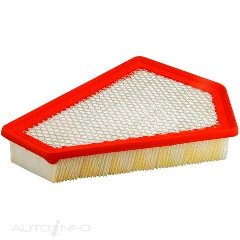 Fram Air Filter Cad Cts 2.8 3.6 09-On - CA10626