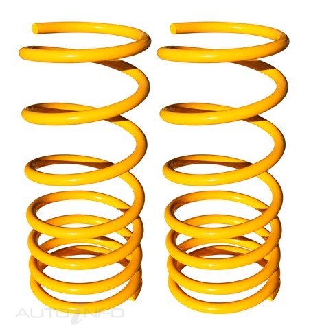 RAW 4x4 Coil Springs Rear Toyota Fort Gun - RC-2450