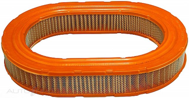 Fram Air Filter Sig Fwd - CA4831