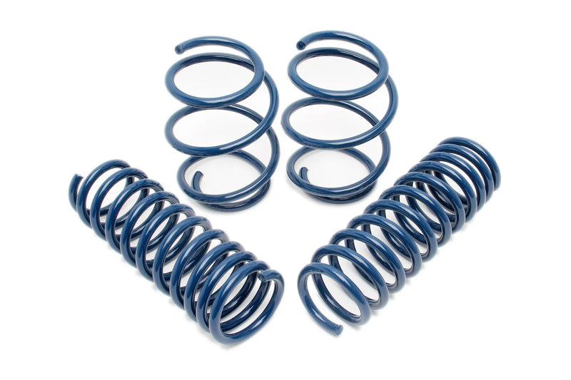 Dinan D100-0913 Performance Spring set - 2006-2010 BMW M5