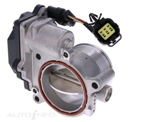 PAT Throttle Bodies - TBO-228